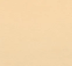 Overige Merken Plakfolie Beige Mat (45cm)