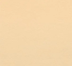 Overige Merken Plakfolie Beige Mat (45cm) 1 Overige Merken Plakfolie Beige Mat (45cm)